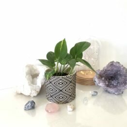 948B063F-4973-4729-9EB9-179AB21A822C