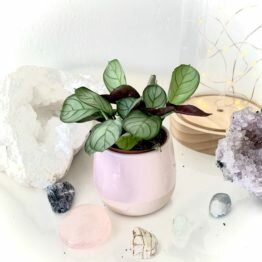 63175D0B-3003-4299-B14D-50F2F09E7C70